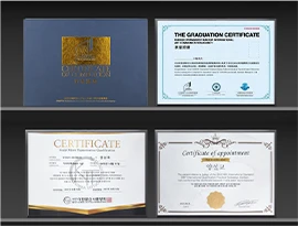 Certificate issued